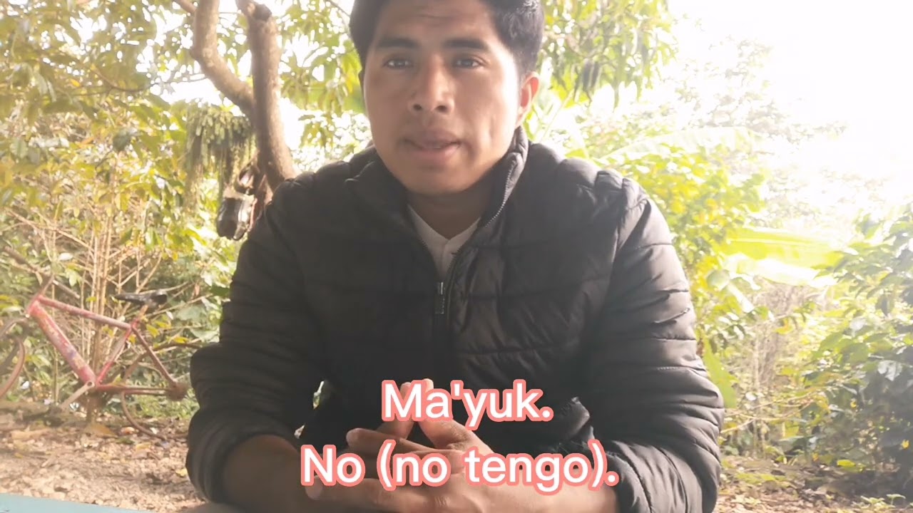 Frases para principiantes en tseltal