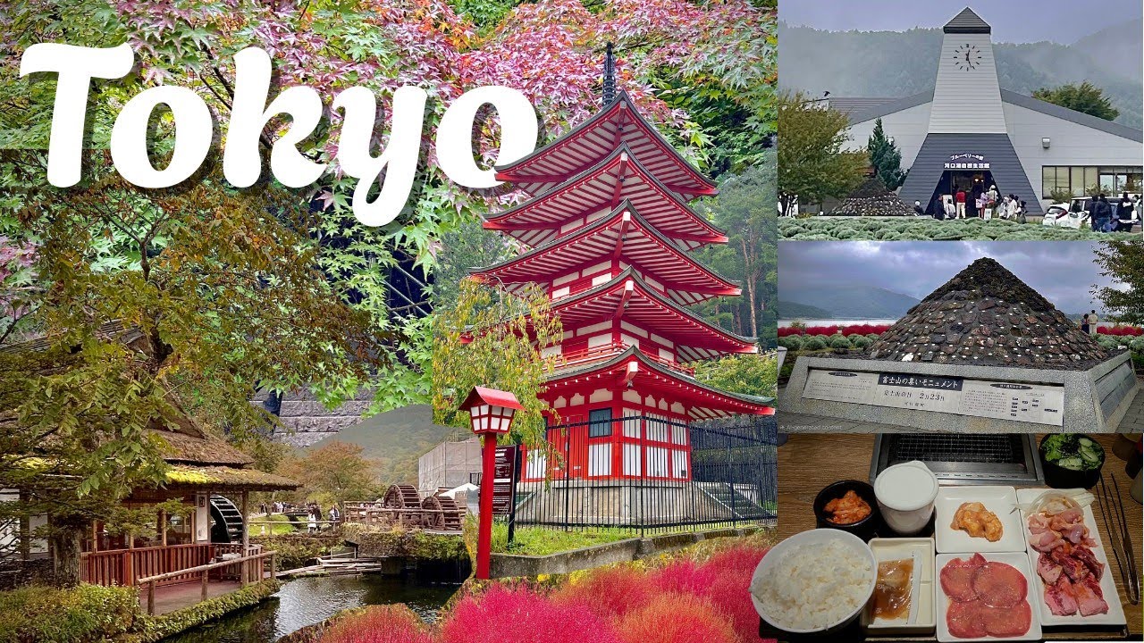 Tokyo Diaries | Lake Kawaguchiko, Oishi Park, Oshino Hakkai, Arakura Fuji Sengen Shrine