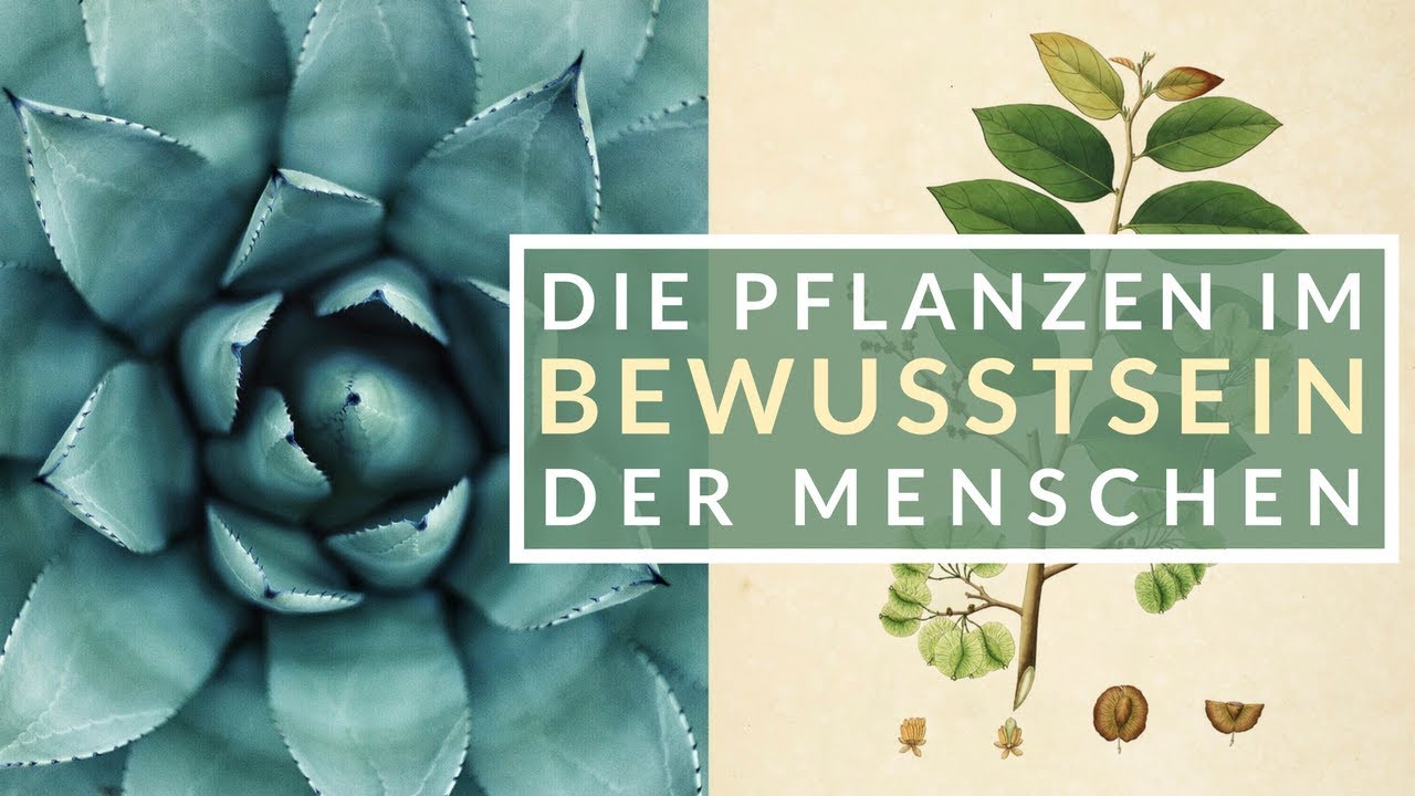Die Pflanzen im Bewusstsein der Menschen