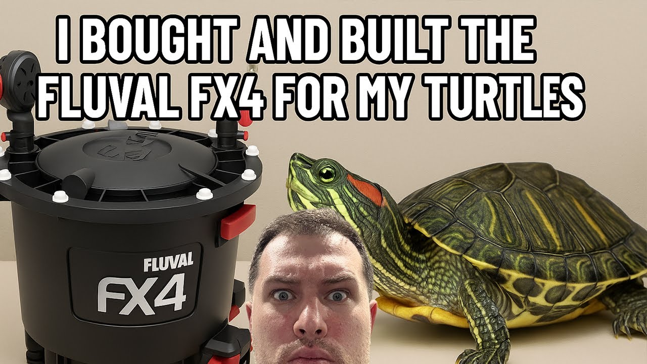 Building & Setting Up the Fluval FX4 for My Turtles