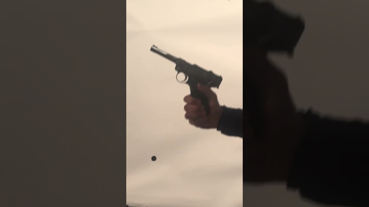 A Luger Myth Busted!