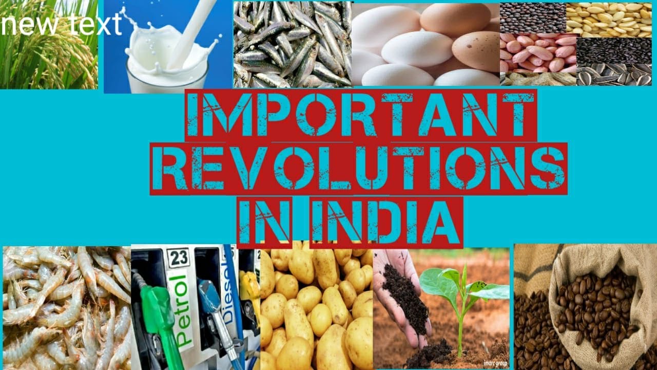 Important Colour Revolutions In India