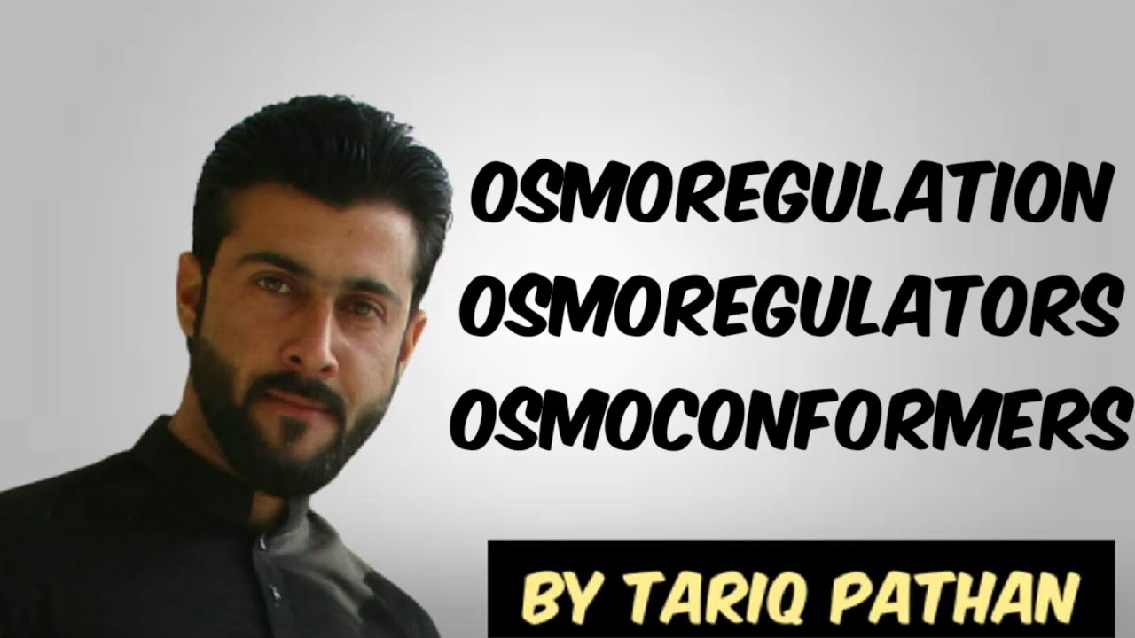 Class 12 Chap 2 - Osmoregulation - Osmoregulators - Osmoconformers by Tariq Pathan