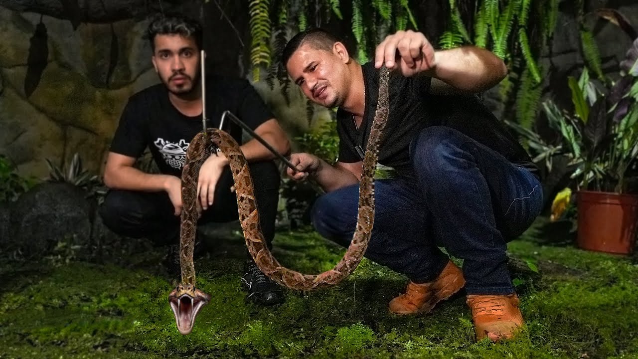Pasé 24h con un CAZADOR de SERPIENTES