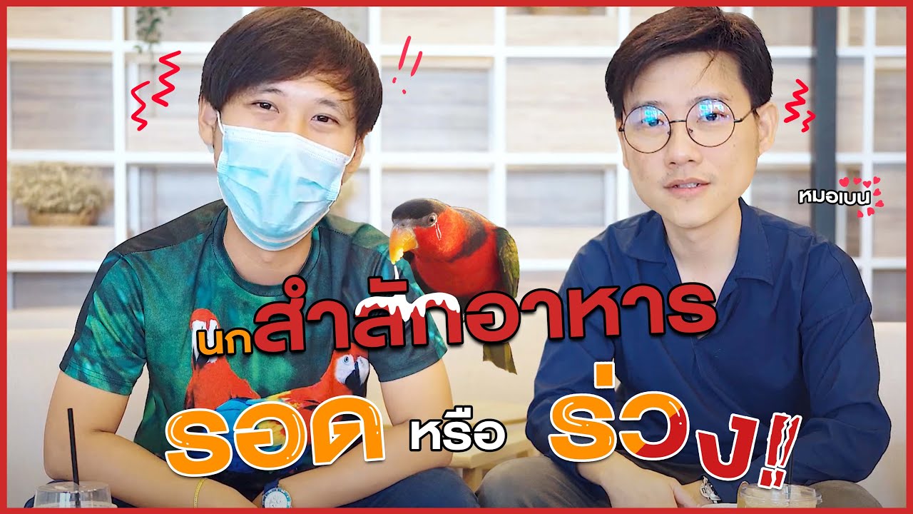นกสำลัก อาหาร รอด หรือ ร่วง !!!