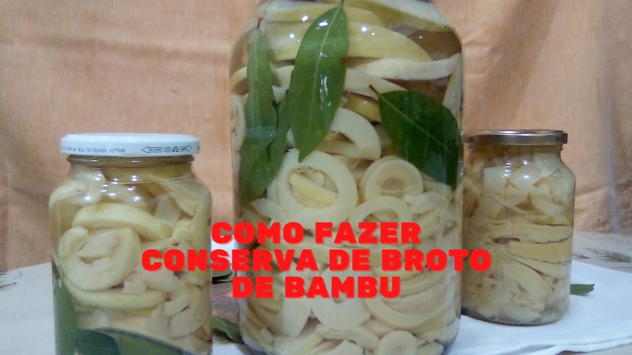 COMO FAZER CONSERVA DE  BROTO DE BAMBU / Vivendo no sítio - Aparecida & José