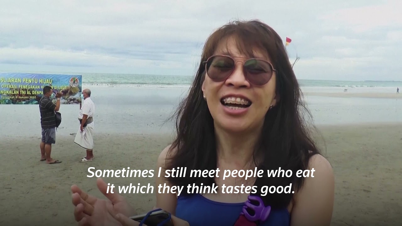 Indonesia releases 33 sea turtles rescued from poachers