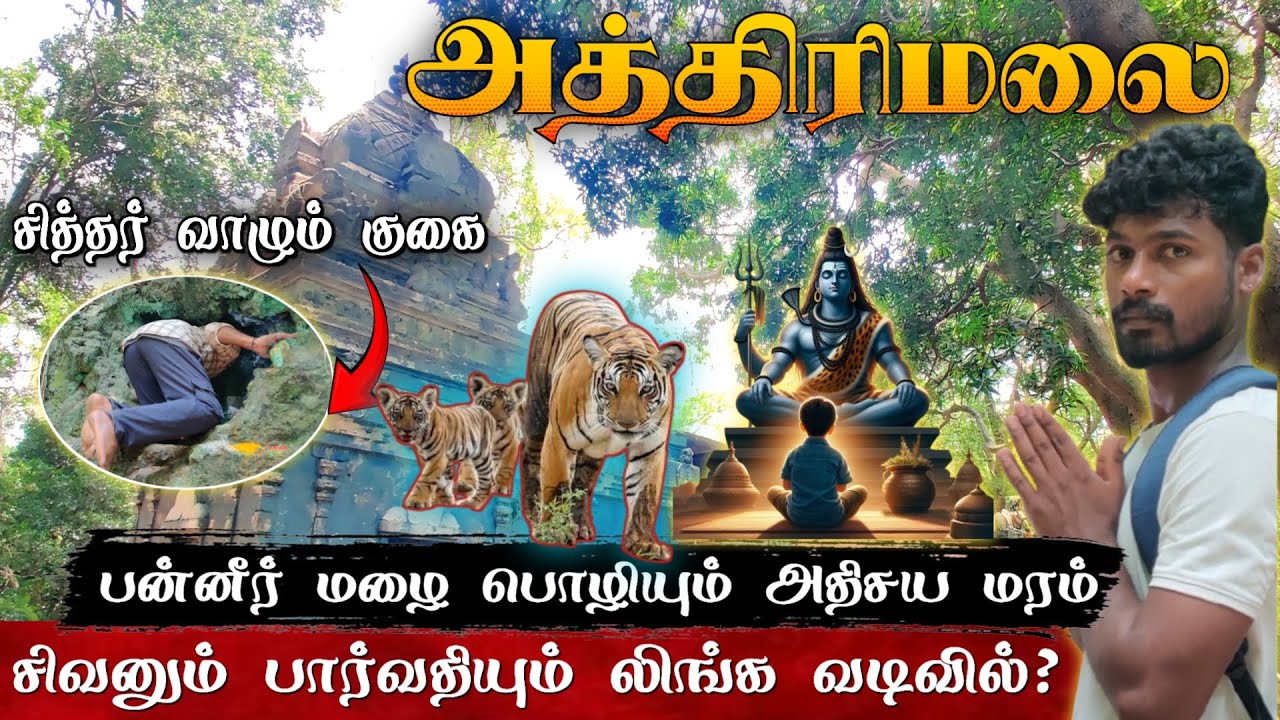 அதிசயங்கள் நிறைந்த அத்திரி மலை பயணம் 🔥 சித்தர்கள் வாழும் குகை ⁉️Athiri Malai Trekking 😱 Travel vlog