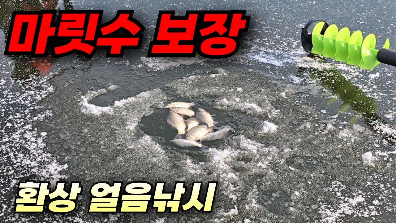 얼음낚시 고수도, 초보도 손맛 보는곳! / 강원도 붕어낚시