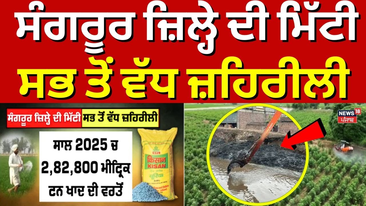 Sangrur News | ਸੰਗਰੂਰ ਜ਼ਿਲ੍ਹੇ ਦੀ ਮਿੱਟੀ ਸਭ ਤੋਂ ਵੱਧ ਜ਼ਹਿਰੀਲੀ ! | Latest News | News18 Punjab