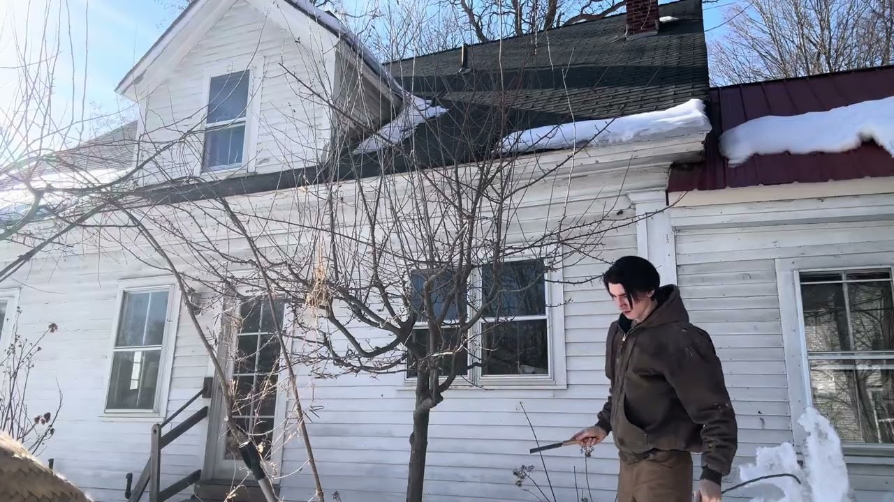 Pruning Crabapple Tree in February