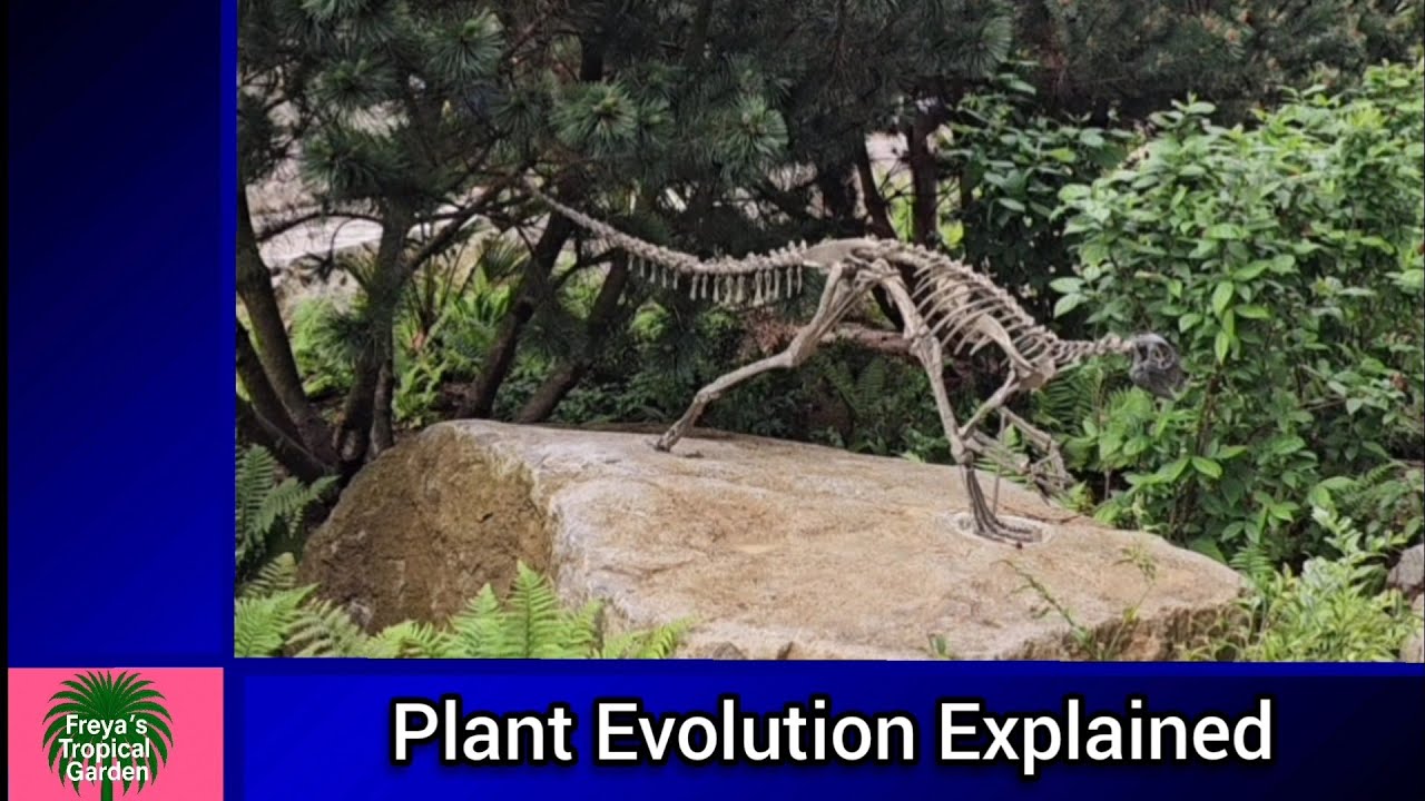 Jurrasic Garden at The Natural History Museum, London - Prehistoric Planting!