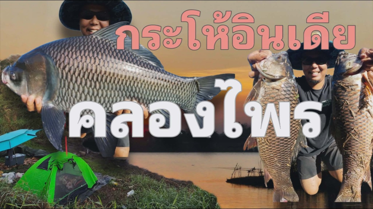 คลองไพรถิ่นกระให้อินเดีย กำแพงเพชร #โก๋เจ้าพระยา