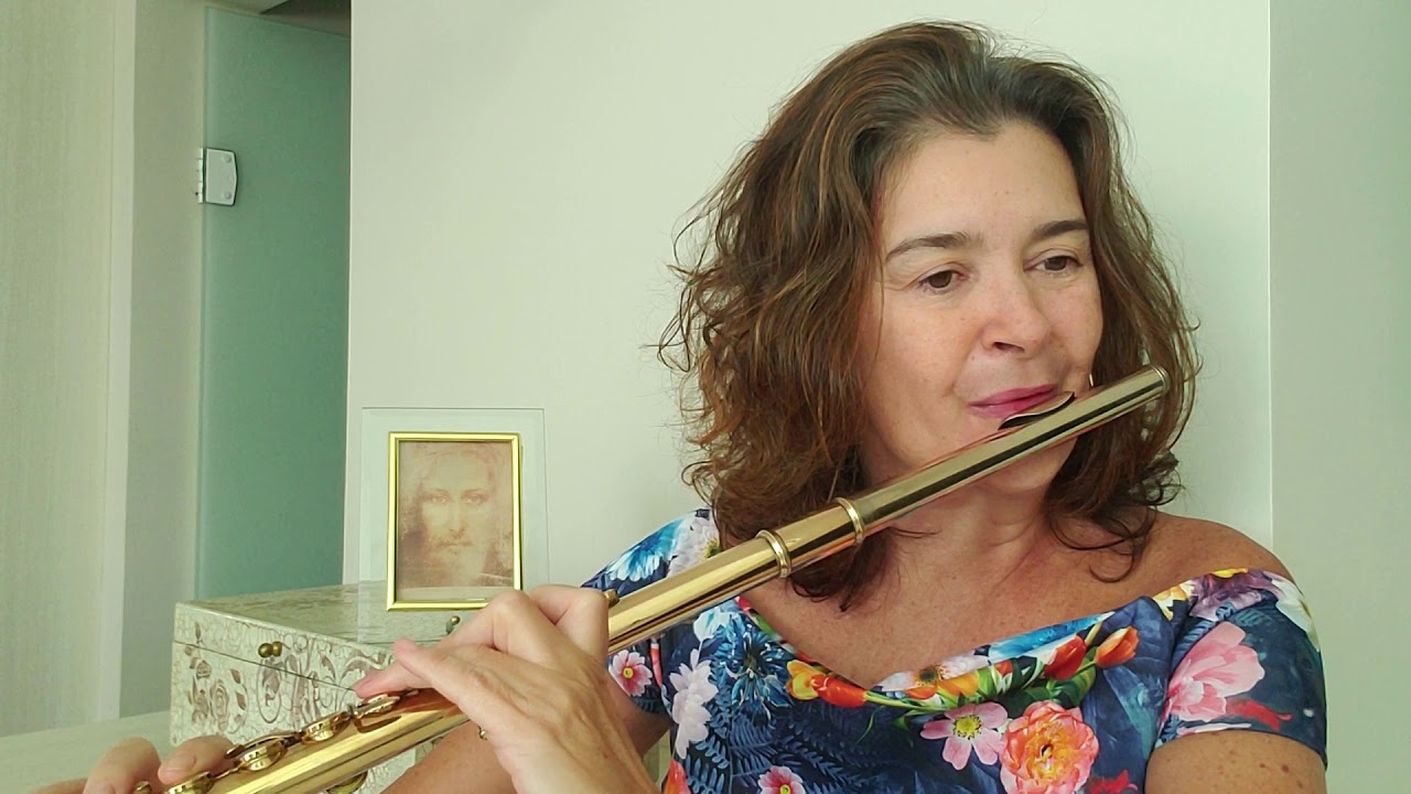 Jesus alegria dos homens   Bach
