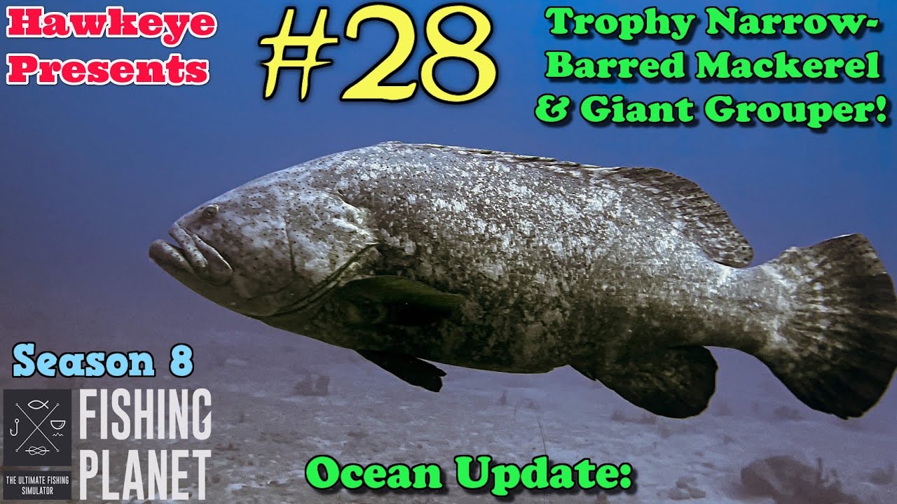 Fishing Planet #28 - S8 - Ocean Update: Trophy Narrow-Barred Mackerel & Giant Grouper!