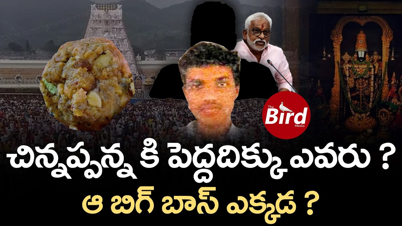 చిన్నప్పన్న కి పెద్దదిక్కు ఎవరు? ఆ బిగ్ బాస్ ఎక్కడ ? | YV Subbareddy PA Is the Key Role In TTD Laddu