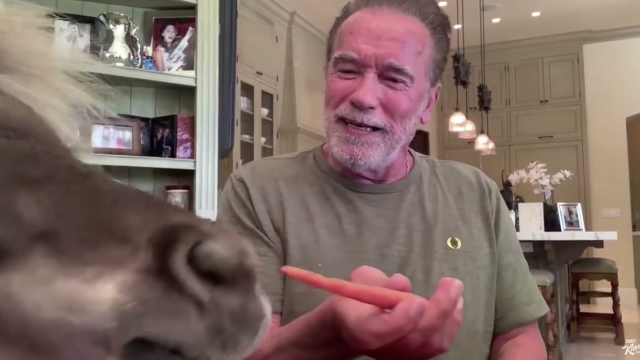 Arnold Schwarzenegger Loves Dinky Donkey