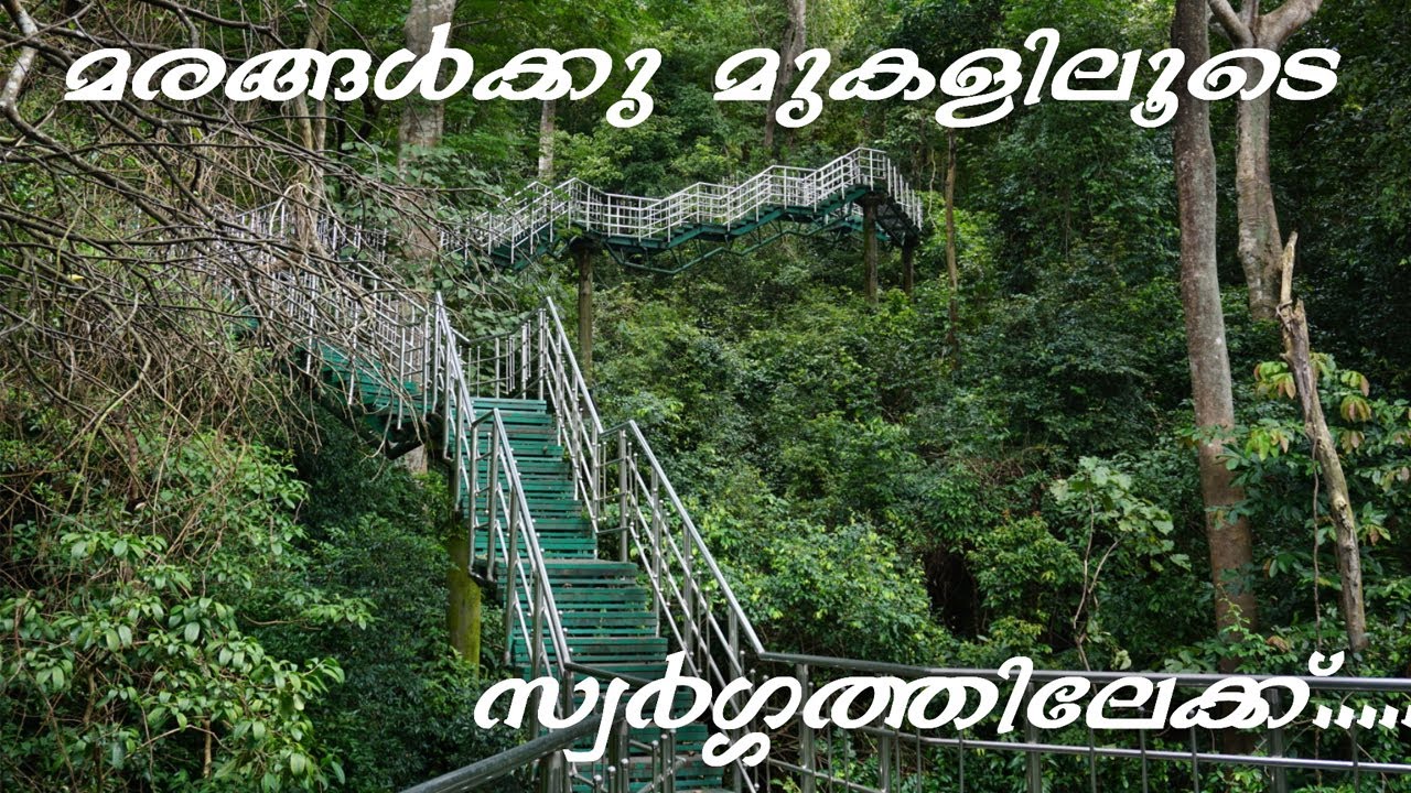 Thenmala Ecotourism Travel Vlog|Thenmala kollam Travel Vlog|Exploring adventure zone| vlog 34