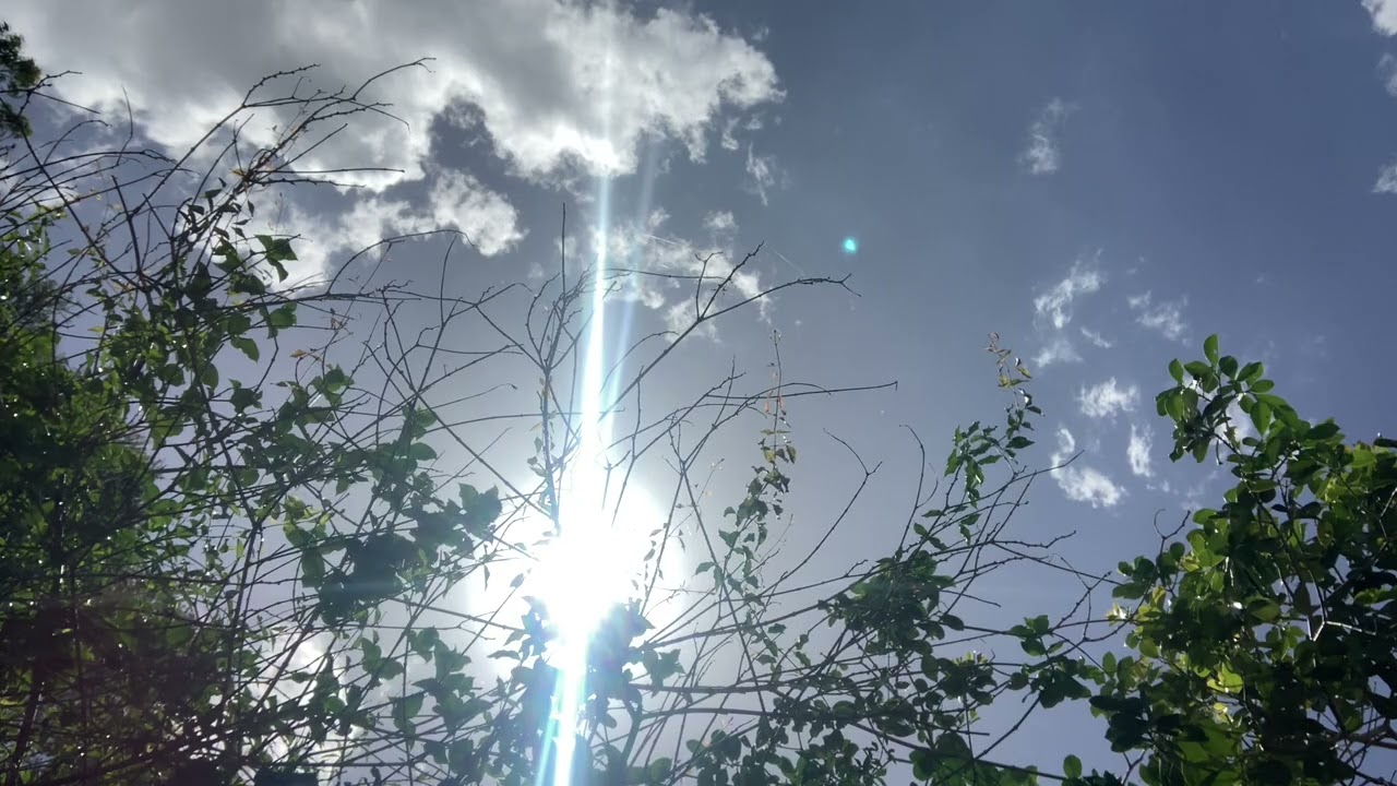 Home with the sun