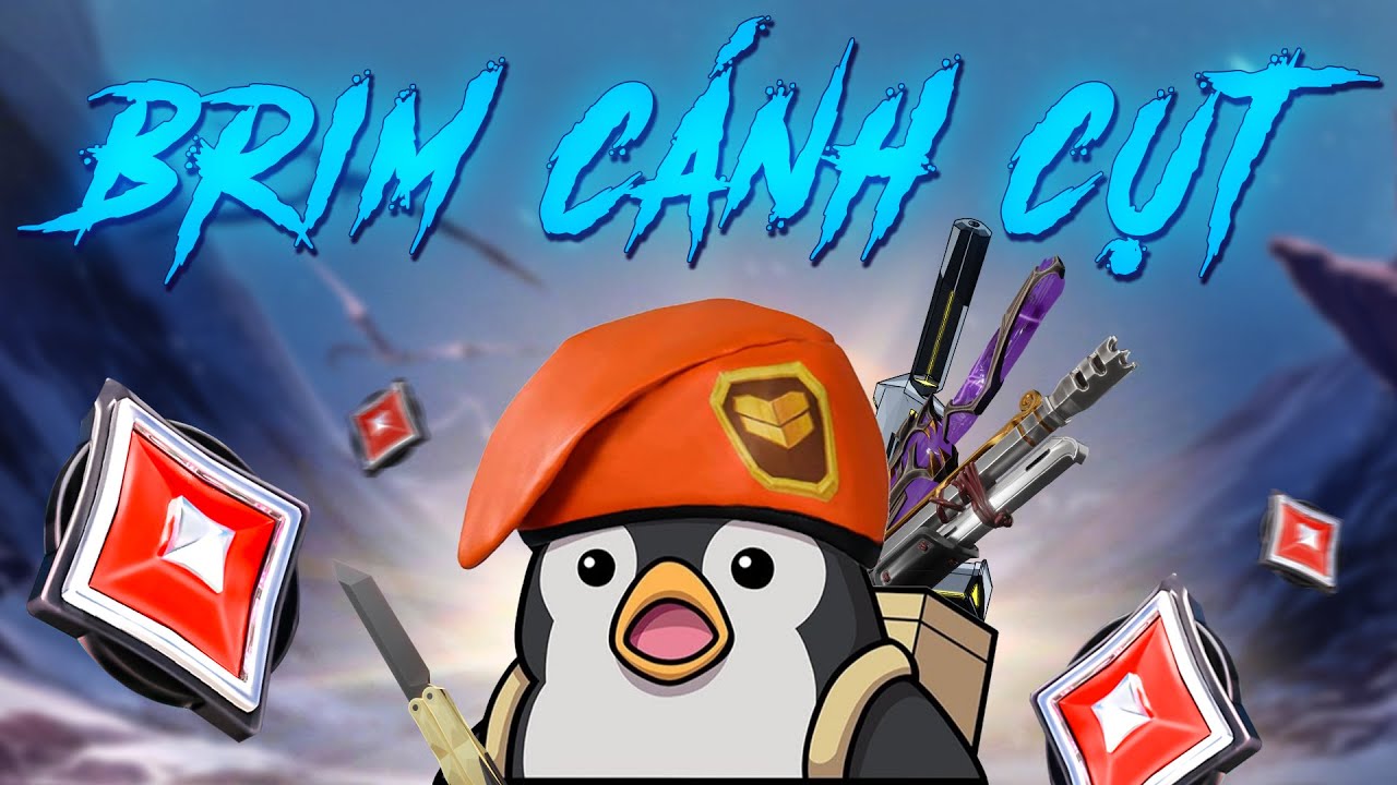 🔴 Brim Cánh Cụt Live | road to Immortal cùng @ocleop