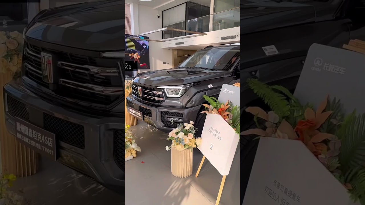 Tank300/500/700,China Car SUV，choose one to go to travle.