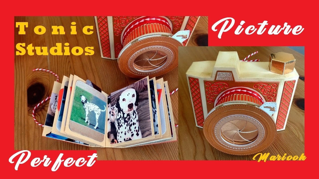 Tonic Studios Picture Perfect Camera Box W Working Lens And Mini Album