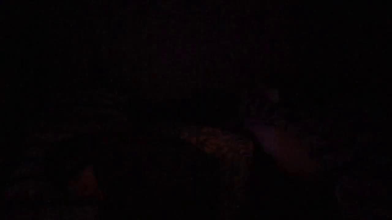 sleep stream