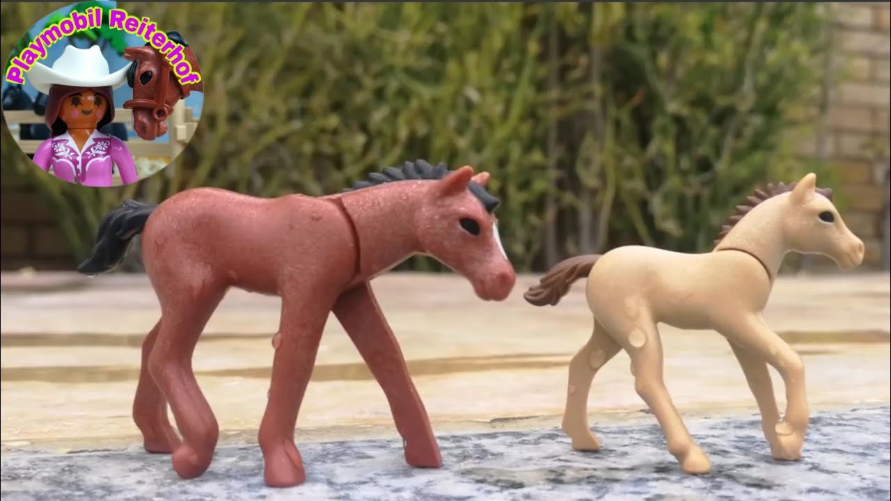 Playmobil Pferde Reiterhof - die schönsten Fohlen Abenteuer - Film deutsch Pferdehof 4K #like