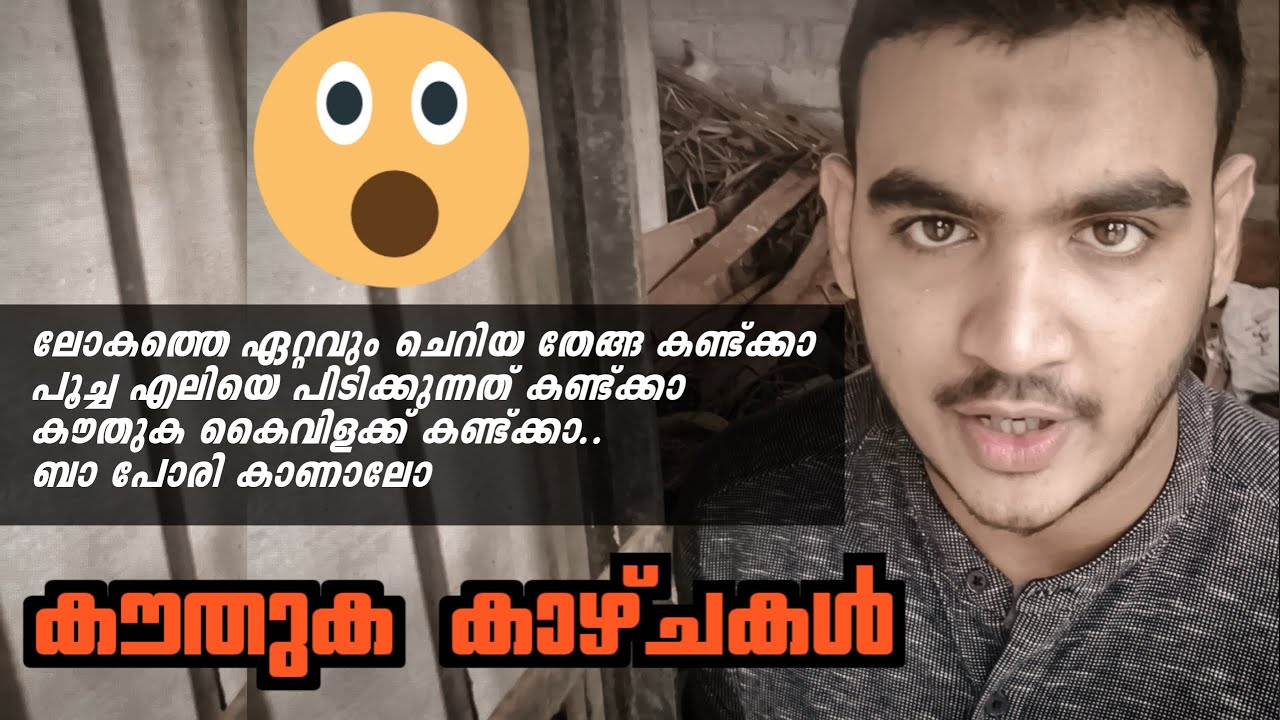 അത്ഭുത തേങ്ങ! 😱 | എലിയും പൂച്ചയും 😃 | അപൂർവ്വ കാഴ്ചകൾ | vlog#13