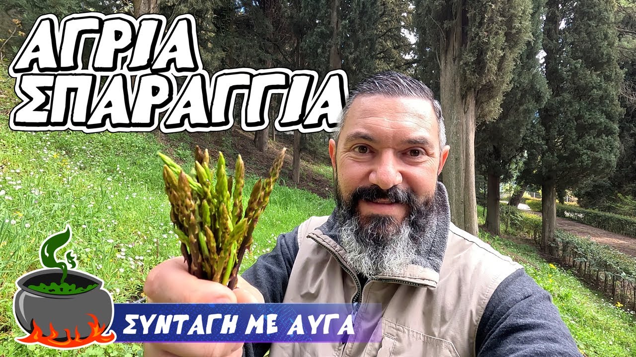 Πώς να Αναγνωρίσεις & να Μαζέψεις Άγρια Σπαράγγια | Συνταγή με Σπαράγγια & Αυγά στη Φύση