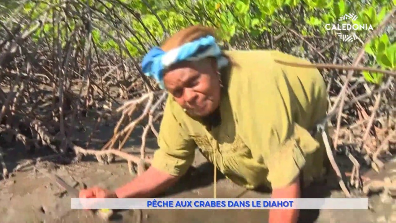 Pêche aux crabes dans le Diahot