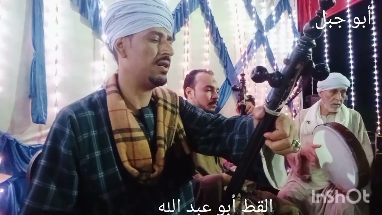 القط أبو عبد الله