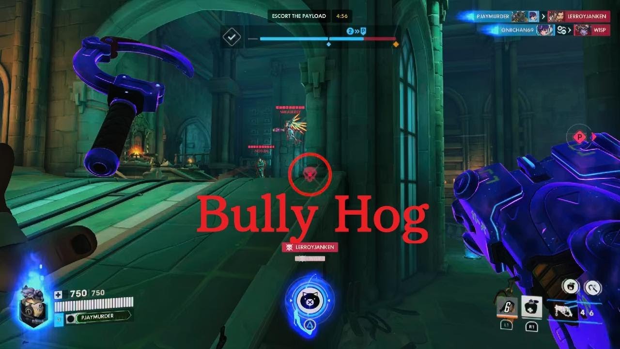 Bully Hog!!! GREAT Suppot🥰
