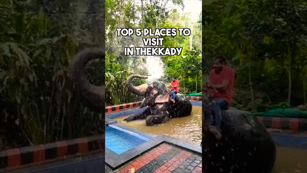 Top 5 Must-Visit Places in Thekkady | YouTube Shorts #shortsvideo #shorts #thekkady