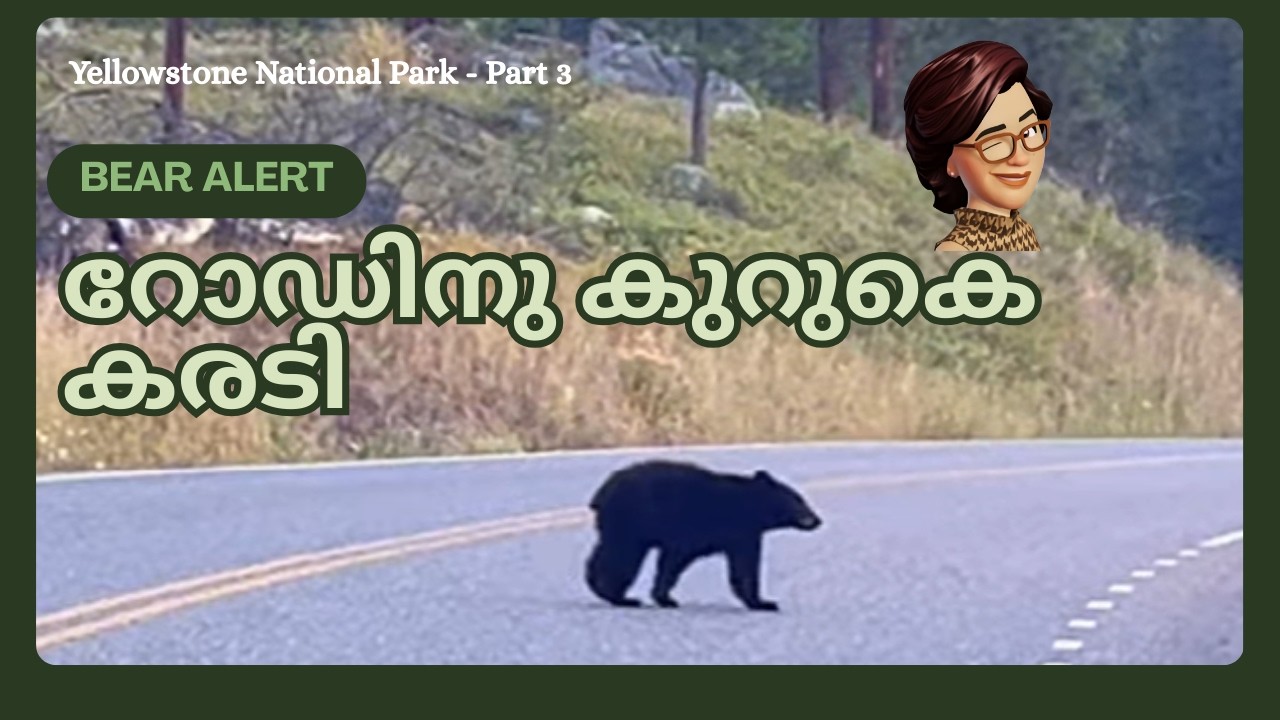 Wild Life in Yellowstone | Grand Canyon  | Yellowstone National Park Part 3 | Malayalam Travel Vlog