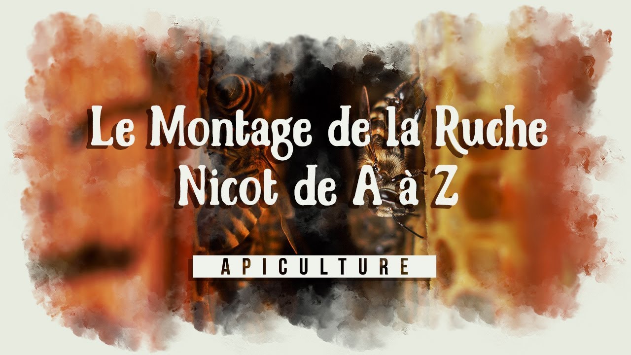 Le Montage d'une ruche de A à Z