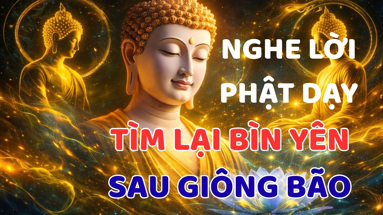 Tĩnh Lặng Giữa Nhân Gian Náo Động: Lời Thủ Thỉ Tìm Lại Sự Bình Yên Sau Những Giông Bão.