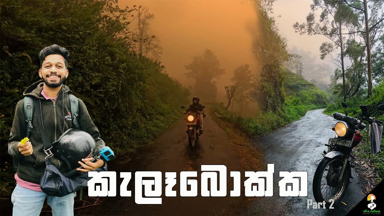 Kelebokka | කැලෑබොක්ක | View point | Part 2 | Haritha Gaweshaka #vlog #nature #travel #viduranga