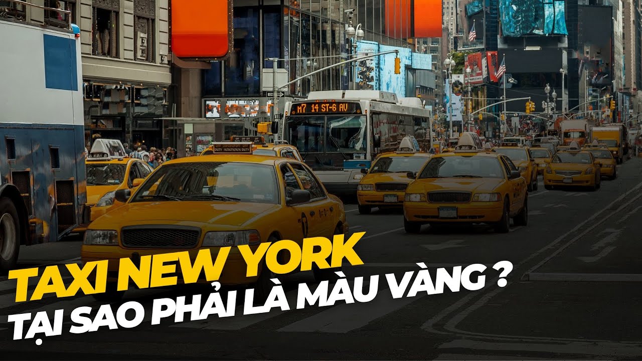 Giải Mã Bí Ẩn Taxi Vàng New York: Khoa Học Thị Giác Và Sinh Tồn Đô Thị | Hà Khanh Discovery