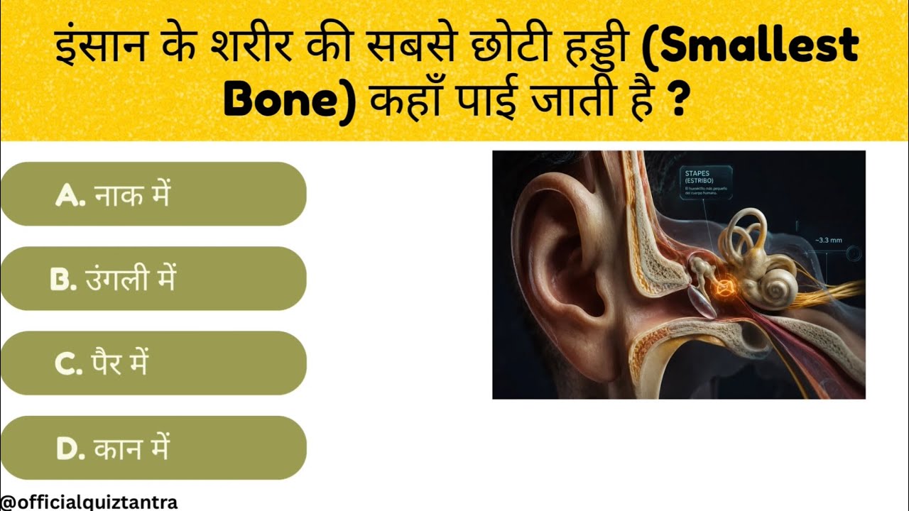 General Knowledge Most Important Question || GK Question || GK Quiz || Quiz Tantra ||