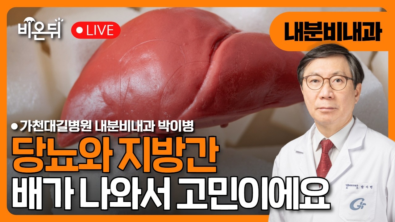 당뇨와 지방간 : 배가 나와요 / 가천대 길병원 내분비내과 박이병
