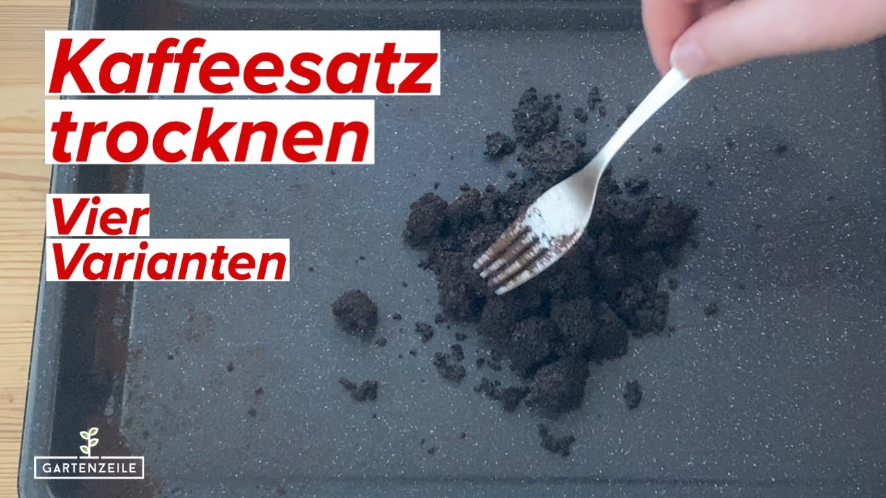 Kaffeesatz richtig trocknen ☕ Diese 4 Möglichkeiten hast du! Aus Kaffee Dünger herstellen!