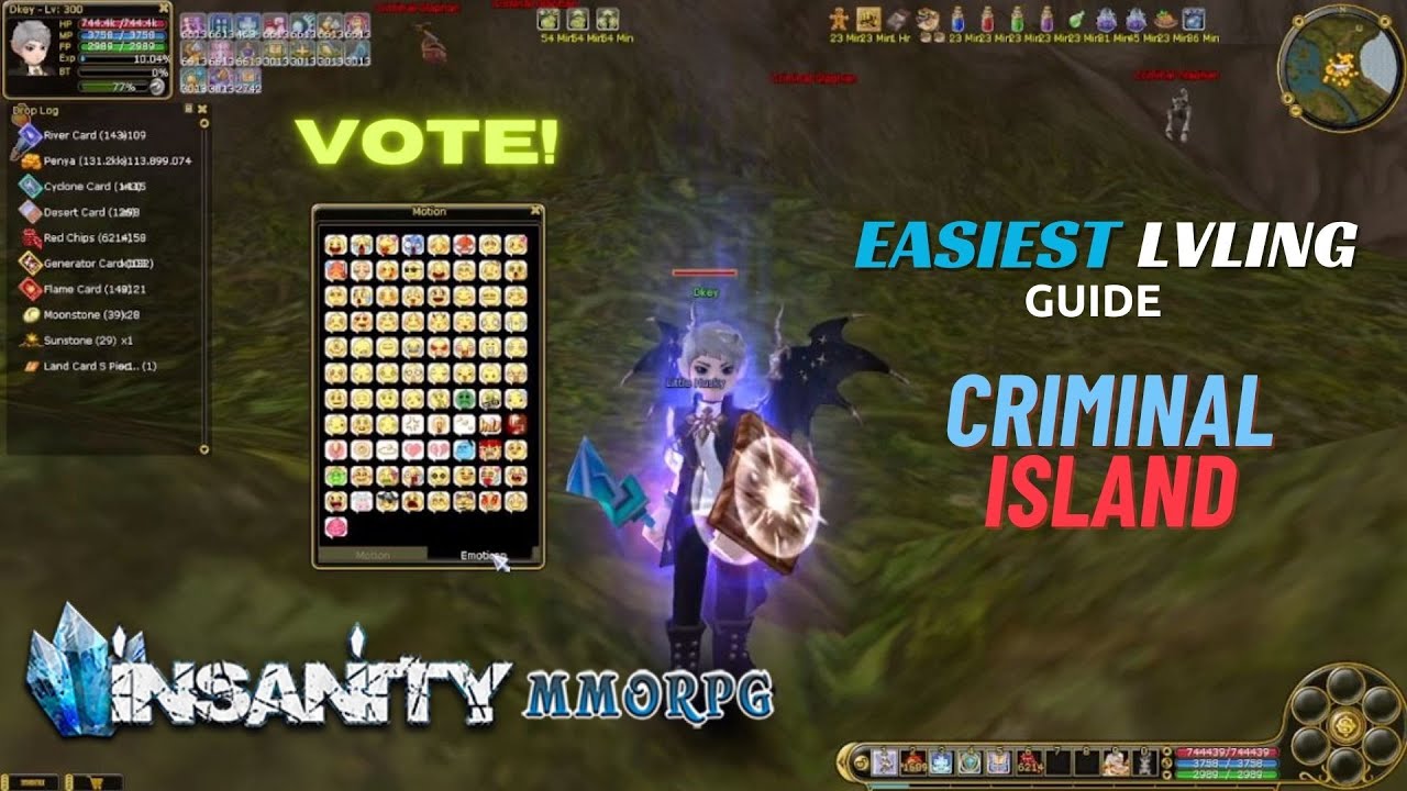 Insanity flyff Leveling Guide from 1-300