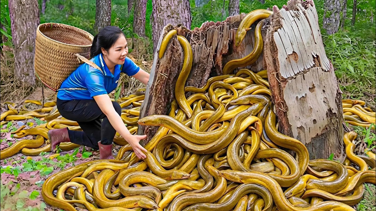Harvest 10,000+ Giant Wild Eels & Go to Market Sell | 150 Days From Egg To Survivor | Animals Life