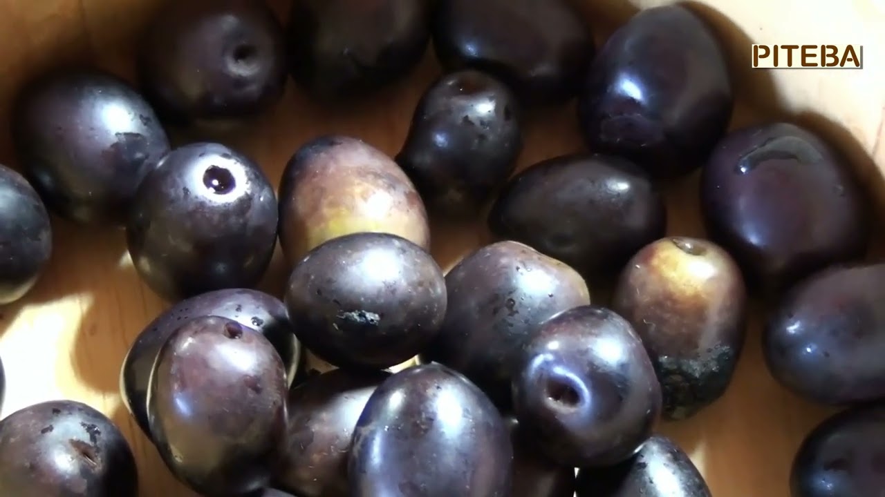 PITEBA fresh olive oil of ripe olives with D2 and hand press