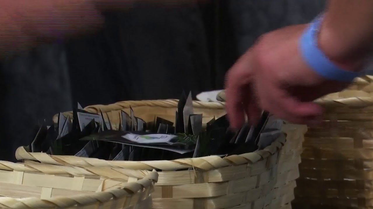 Hundreds of people line up to collect free cannabis seeds in Roanoke