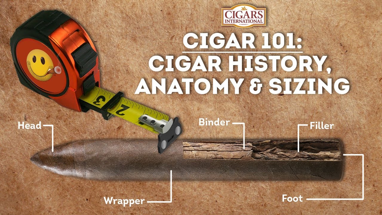 Cigar 101-Cigar History, Anatomy, and Sizing-Cigars International