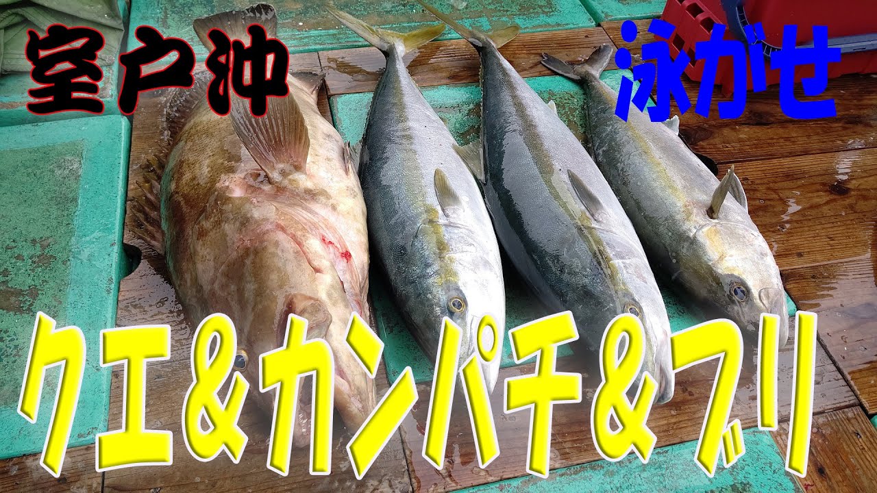 高知　室戸　結衣丸　クエ１８kg＆カンパチ＆ブリ