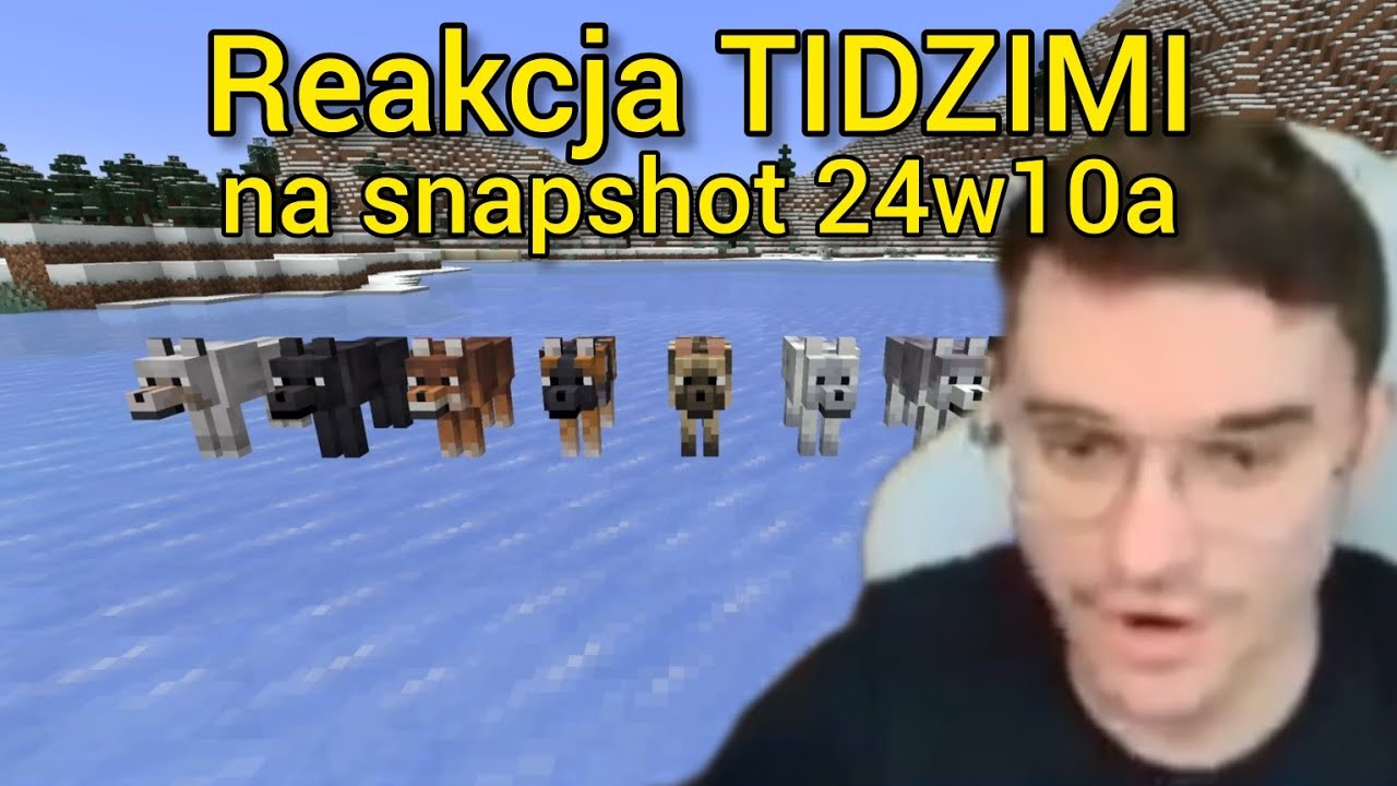 Reakcja TIDZIMI na NOWE PSY w Snapshocie 24w10a!