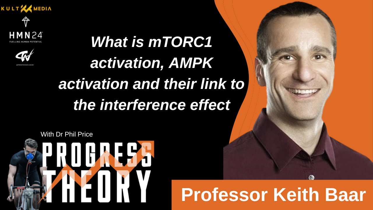 What is mTORC1 activation, AMPK activation and their link to the interference effect
